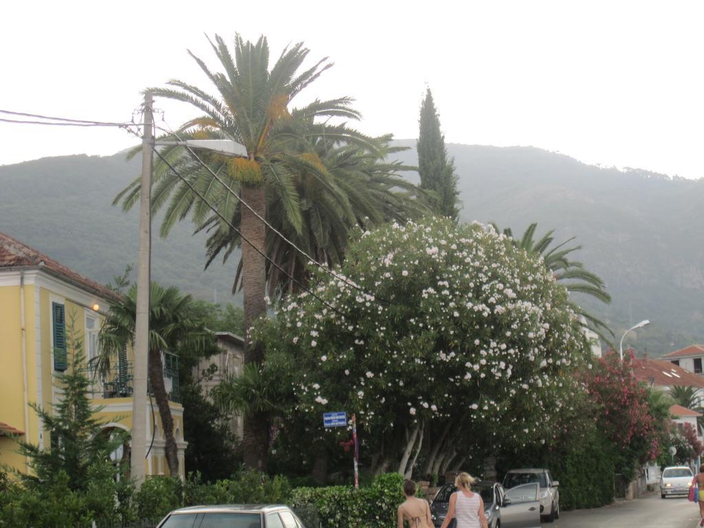 Apartments Delfin Tivat Luaran gambar